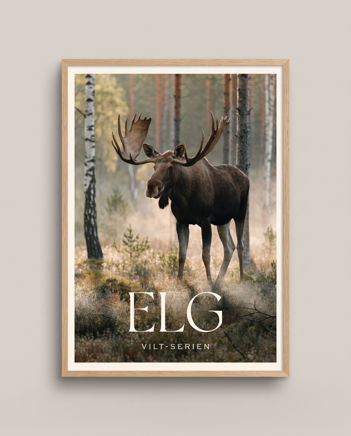 Vilt-serien Elg i ramme