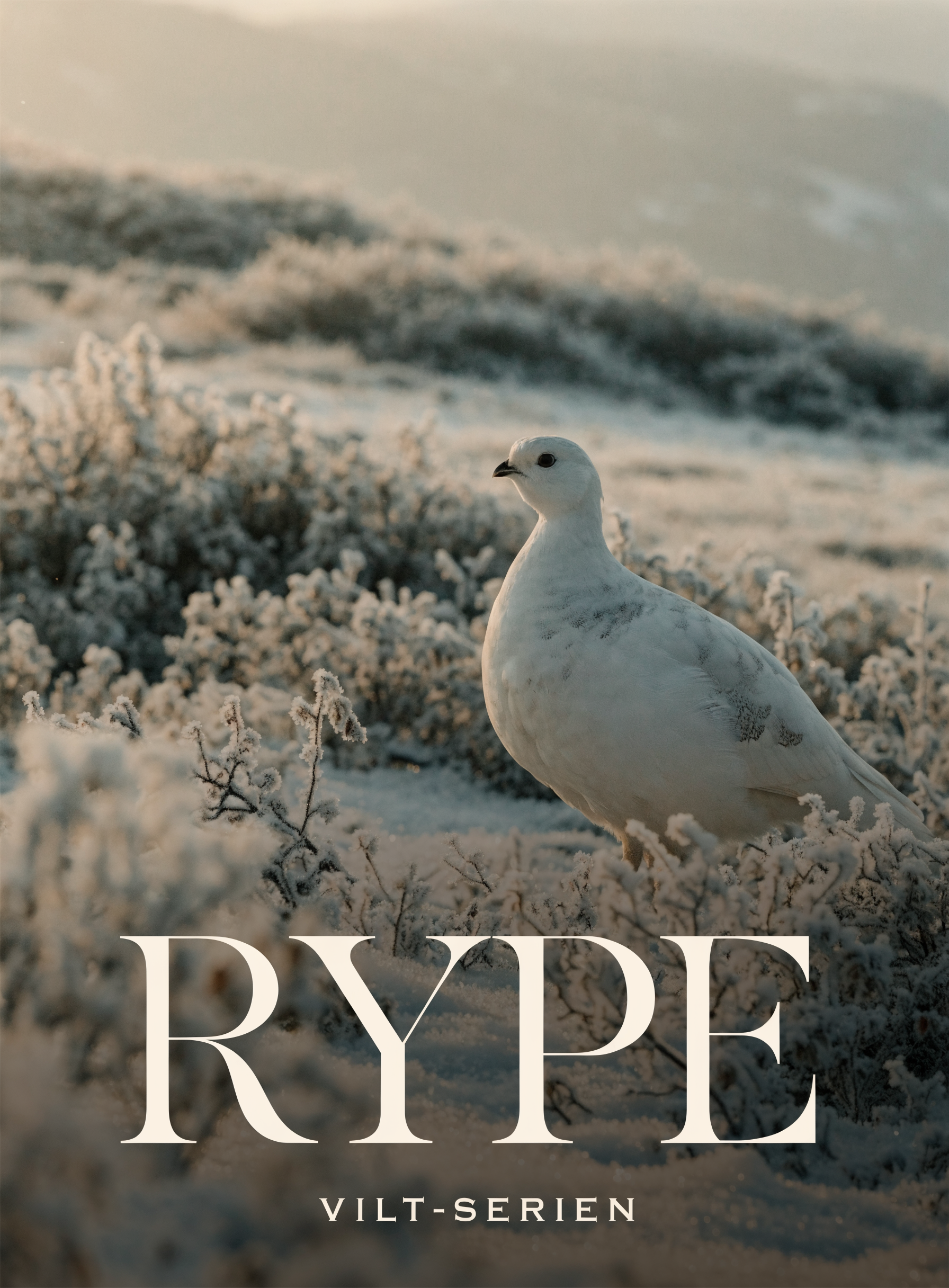 Rype